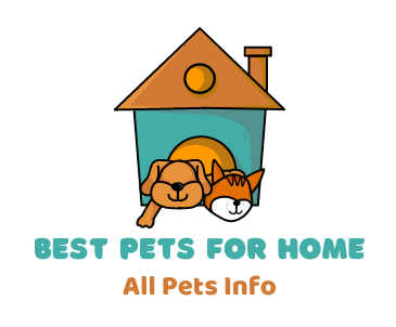 Best Pets for Home