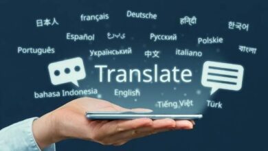 The Art of Perfecting Document Translation: Insights from Professional Translation Services