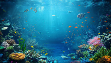 Aquatic Wonders: 5 Leading Aquariums Globally for Marine Enthusiasts