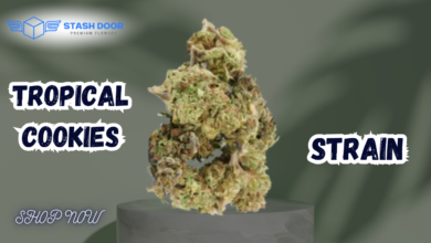 Discover the Tropical Cookies Strain at Stash Door