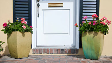 How Do Outdoor Plants Enhance the Beauty of Your Entrance?