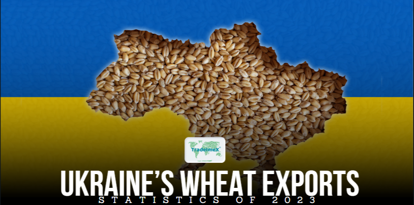 What share of the world’s grain comes from Ukraine?