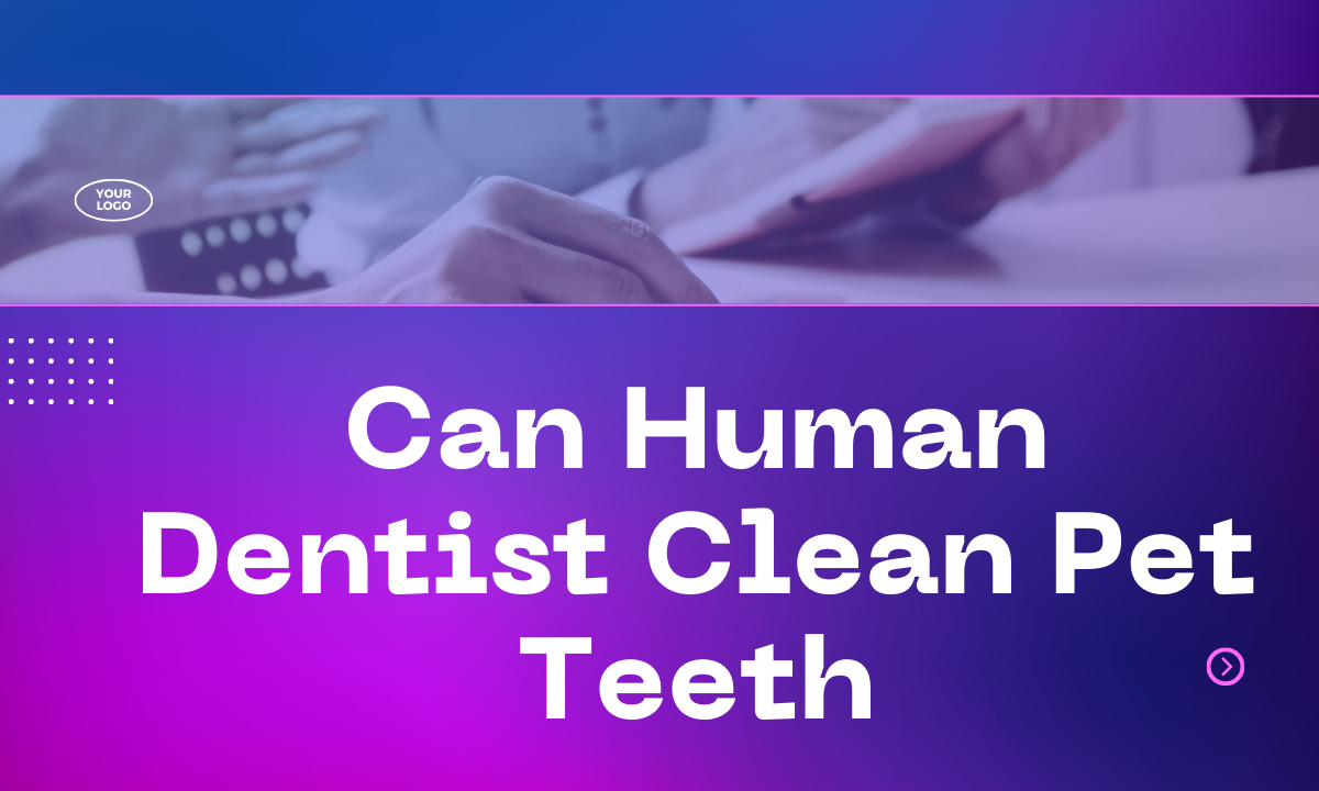 Can Human Dentist Clean Pet Teeth?