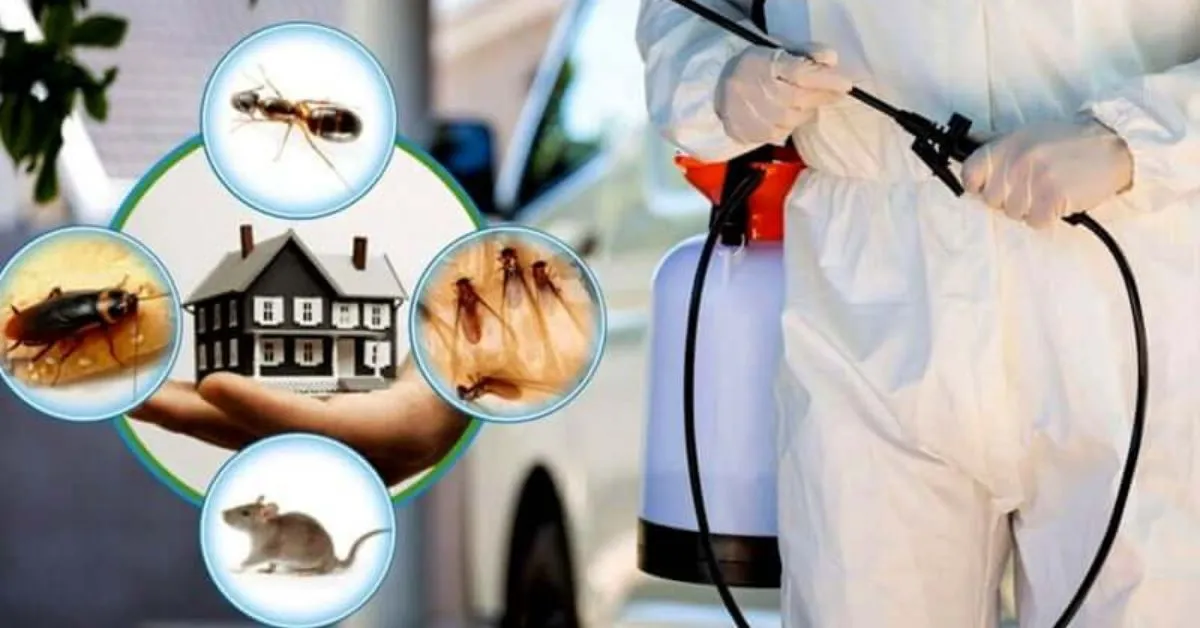 12 Tips to Choose the Right Pest Control Contracting Company for Your Needs