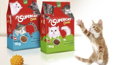 Pet Food Boxes: Why Boxes Are Important for Pet Food