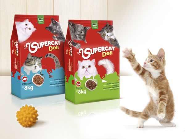 Pet Food Boxes: Why Boxes Are Important for Pet Food