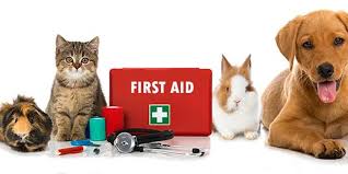 Essential Pet First Aid: A Comprehensive Guide for Pet Lovers