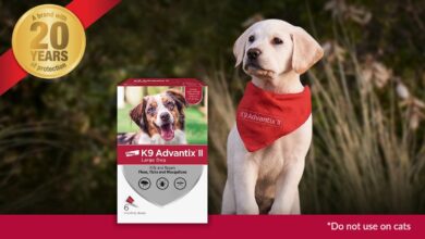 Say Goodbye to Fleas & Ticks with Dog Flea Treatment K9 Advantix II