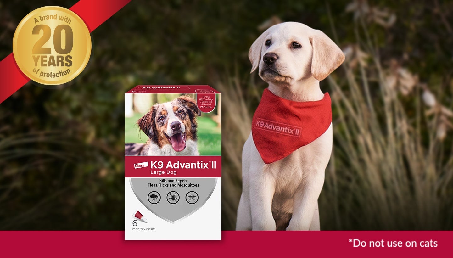 Say Goodbye to Fleas & Ticks with Dog Flea Treatment K9 Advantix II