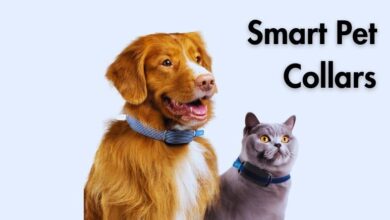 Smart Pet Collars: The Next Big Thing in Pet Tech?